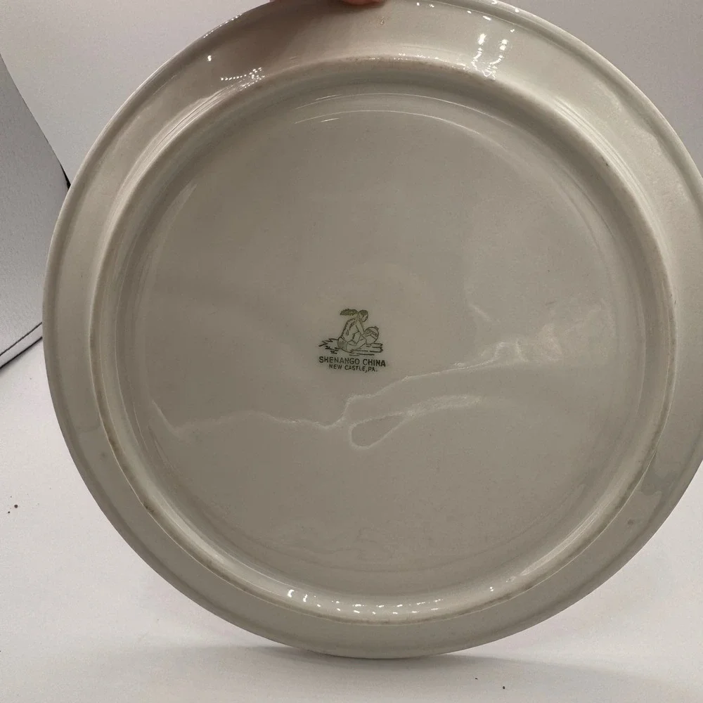 Shenango China Red Willow Divided Grill Plate Vintage Restaurant Ware 9.75in
